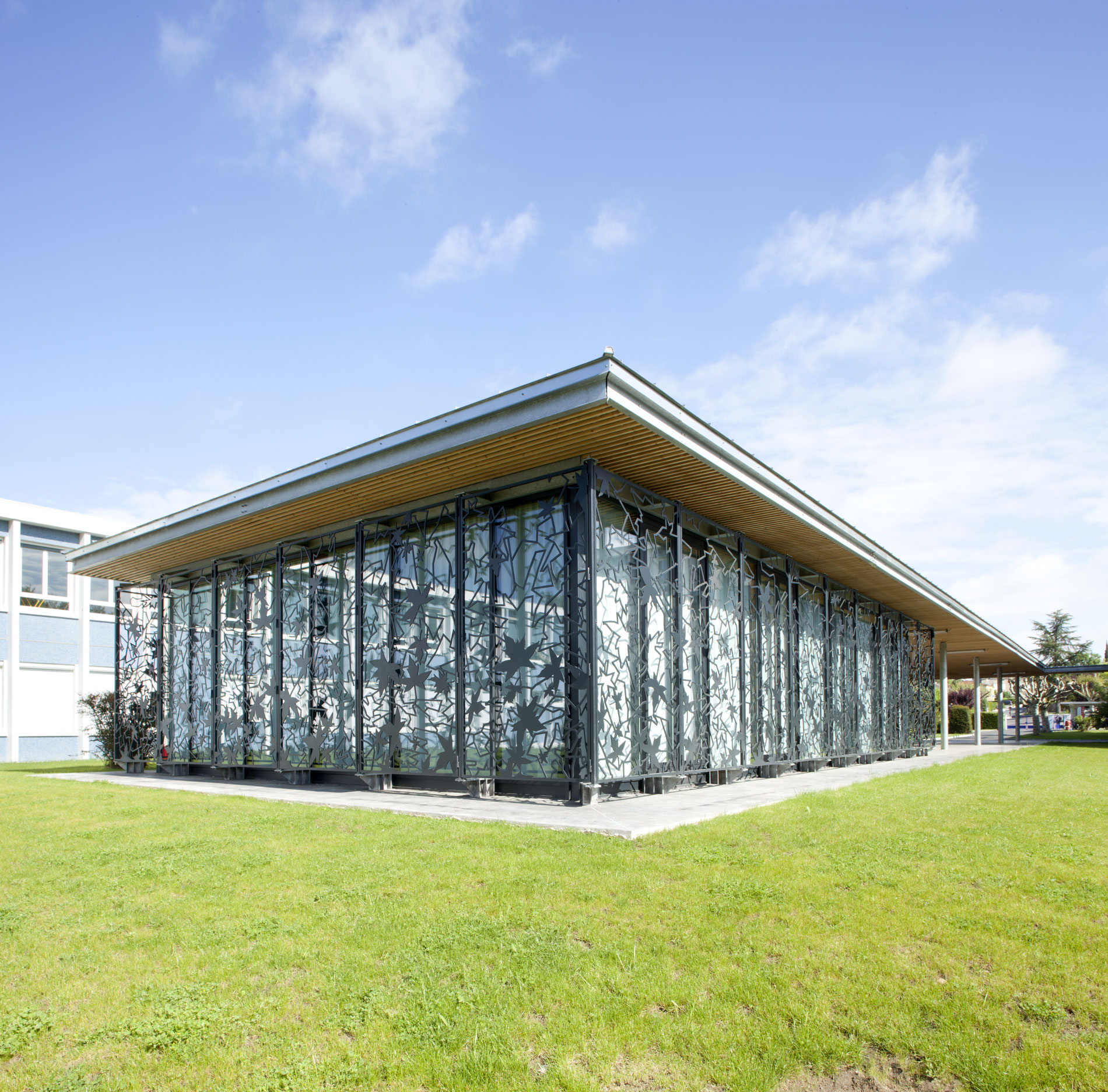 CollegeLeoTestut1