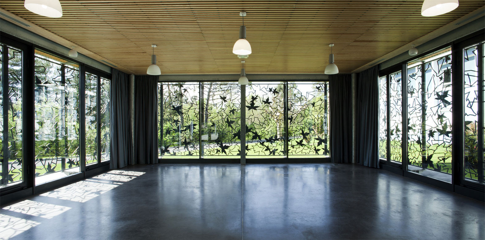 CollegeLeoTestut6